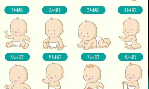 伊美尔脱毛效果网-分享伊美尔价位，伊美尔整形是正规医院吗知识库